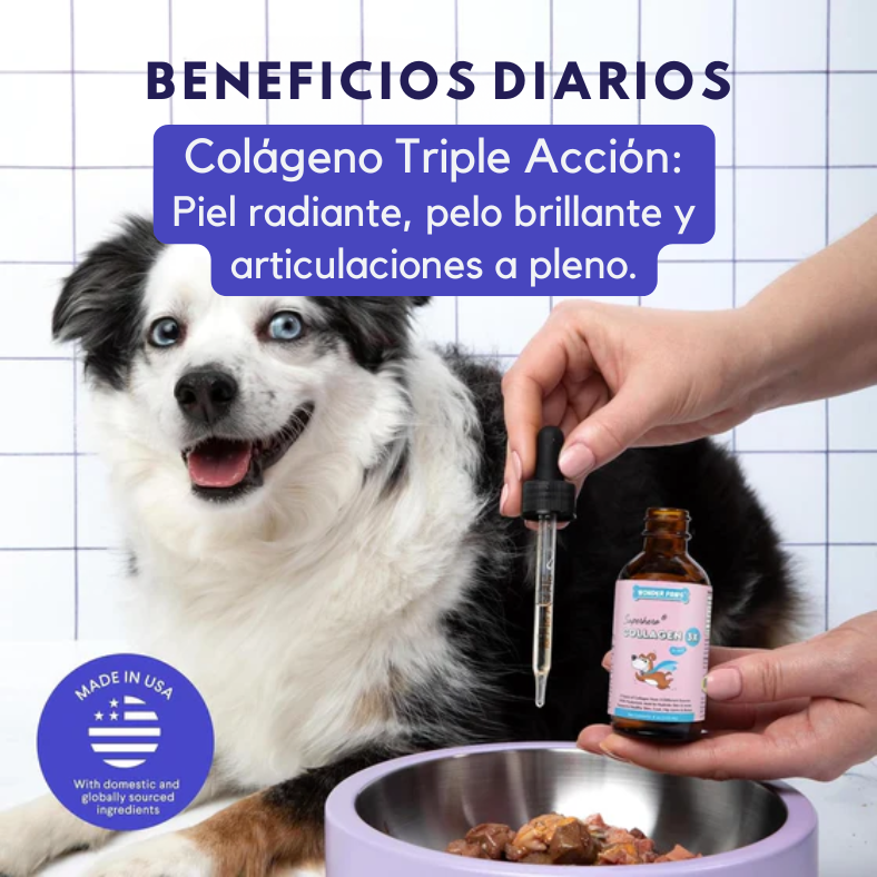 Colágeno 3X Drops: Energía y Pelaje Brillante